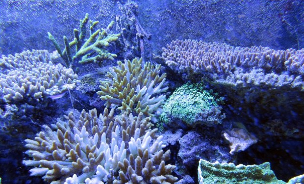 Informarsi e cambiare il mondo 
